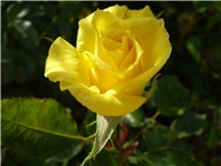 1465f775-Picture 3488.jpg